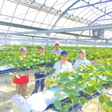 鈴木友絵 | いちご園すず屋