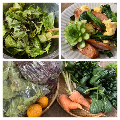 みんなの投稿の画像