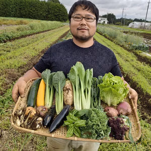 【今だけお得！】農薬・化学肥料不使用のこだわり旬の野菜セット