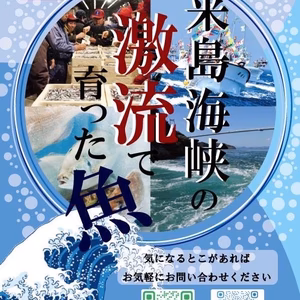 瀬戸内海産海鮮パックの詰詰め合わせ　津本式血抜き　天然　刺身　海産物　　　　　