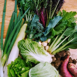 朝採り直送、季節の露地野菜セット(農薬不使用)