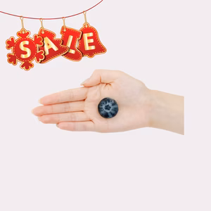 ☆セール中☆クリスピーベリーpremium《大粒》100g