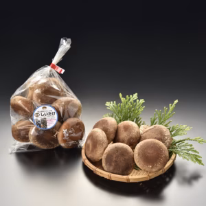 生しいたけC 国産 安心 安全 無添加 無農薬 自然栽培 新鮮 手作り