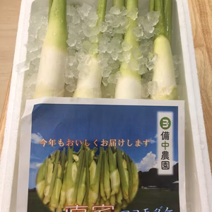 秋が旬！マコモタケ