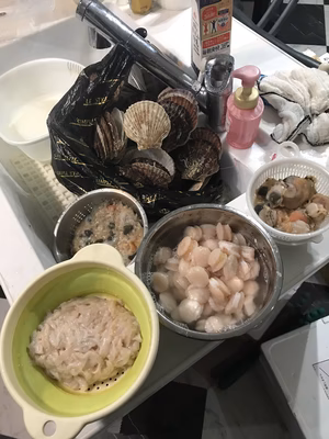 みんなの投稿の画像