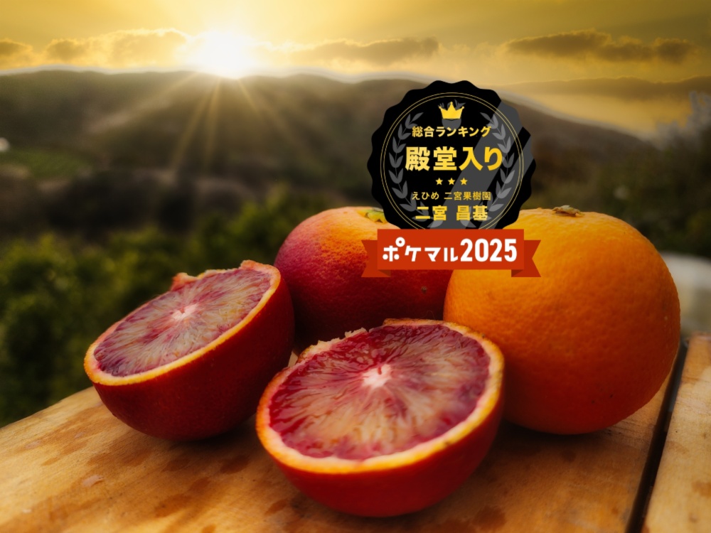 ブラッドオレンジモロ 特別価格 ｜オレンジの商品詳細｜ポケット