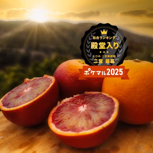 ブラッドオレンジモロ　おすすめ赤さが違う　プロ御用達