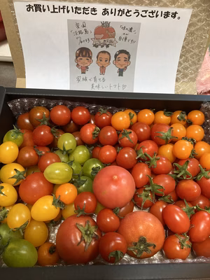 みんなの投稿の画像