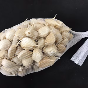青森県産ホワイト6片にんにく 訳あり品 小粒のみ バラ 500g～