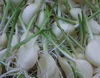 スプラウトにんにく　500ｇ訳あり（傷、曲がり、不揃い）