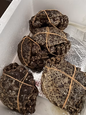 みんなの投稿の画像