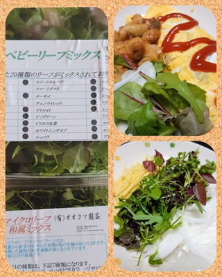 みんなの投稿の画像