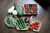 【7月末〜発送開始】こだわり有機農家のオーガニック野菜セット7-8種類
