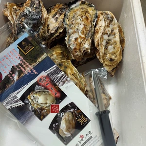 三重県桃取産　殻付き牡蠣　(生食用)　桃こまちＭサイズ30個
