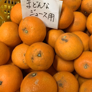 値下げ❗️ジュース用まどんな 箱込4キロ  no10