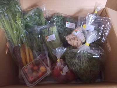 みんなの投稿の画像