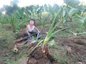 14725553_1093817427392703_2295166903980580688_n