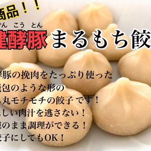 同梱専用　健酵豚まるもち餃子　