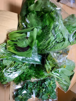 みんなの投稿の画像