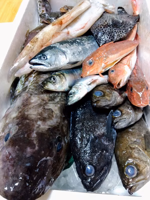 みんなの投稿の画像