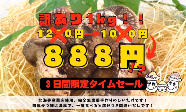 【1日5セット限定セール】訳ありしいたけ1Kg!!形は変でも味は最高品質です！
