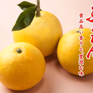 ぶんたん（大玉）8ｋｇ（おだ農園）