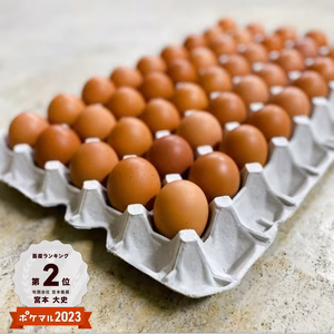 味と鮮度にこだわりアリ！　　宮たま(赤)×120個