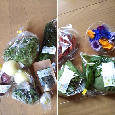 みんなの投稿の画像