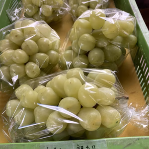 超超特大訳あり雄宝1.4キロ以上1房シャインの子薄皮ジューシーまるでスポーツドリ