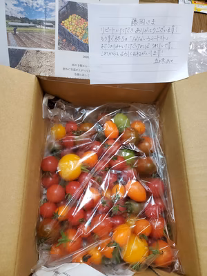 みんなの投稿の画像