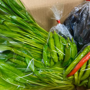 京都府産気まぐれ野菜セット