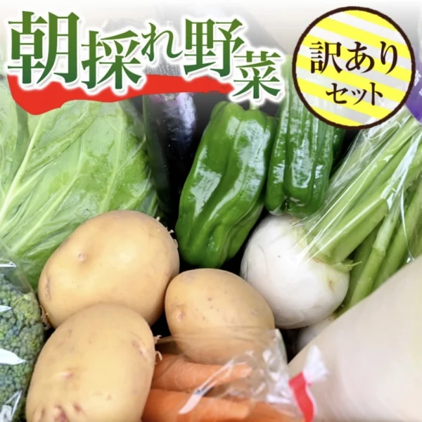 【訳あり】農園直送野菜セット 露地栽培で育った 野菜5～6種の詰め合わせ 減農薬