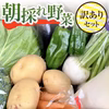 【訳あり】農園直送野菜セット 露地栽培で育った 野菜5～6種の詰め合わせ 減農薬