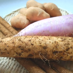 〜白井農園のおすすめ〜野菜セット