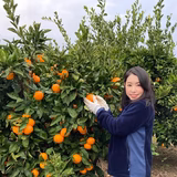 鶴見佳保里 | まるせん　恋みかん