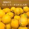 家庭用 越冬完熟レモン 瀬戸内産レモン S～2Lサイズ 【2㎏・5㎏・10㎏】