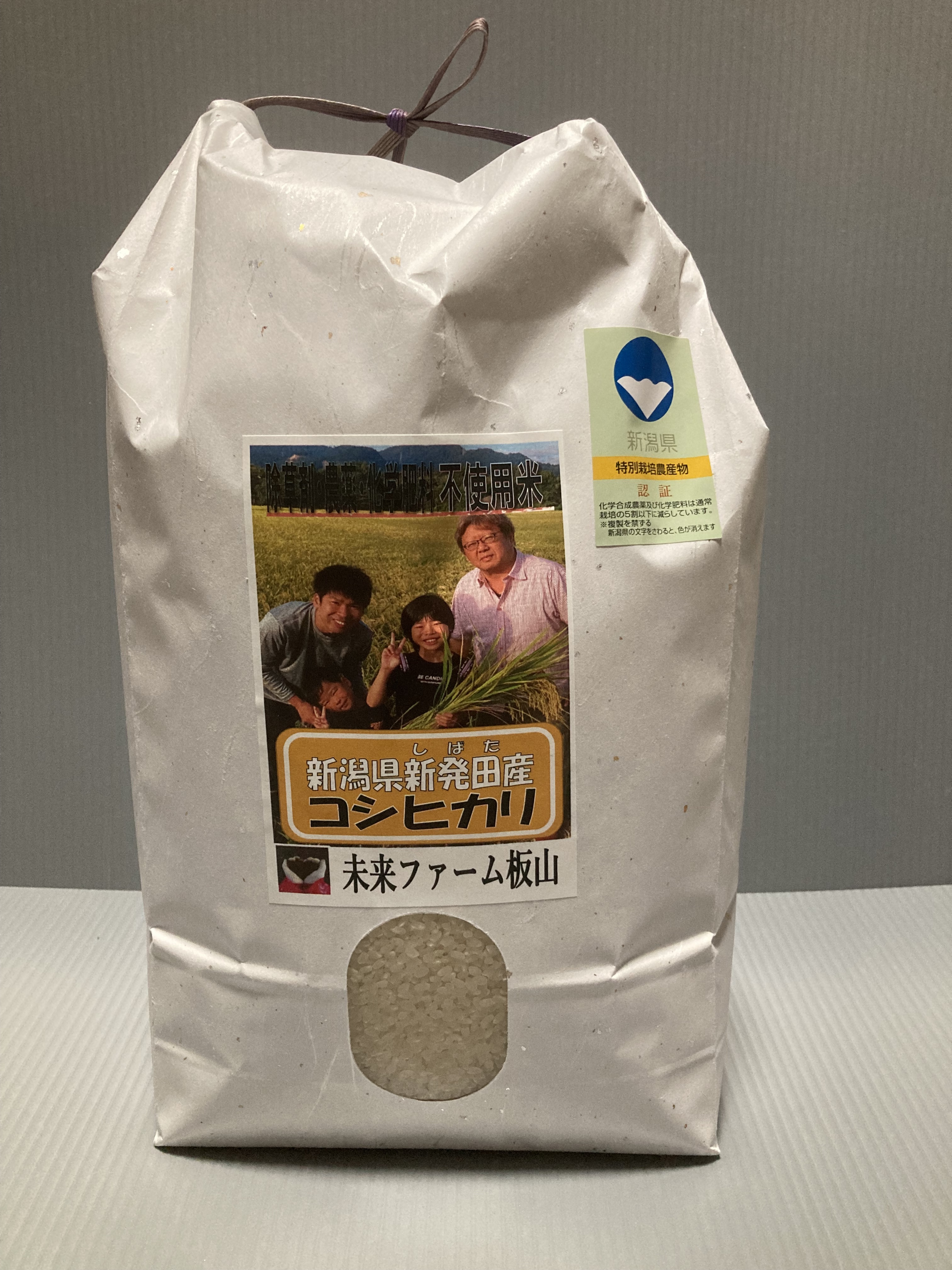 新米 20キロ コシヒカリ 玄米 一等米