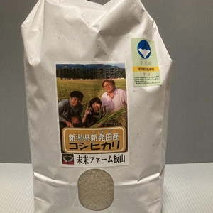 量産しないコシヒカリ(定期玄米) 　農薬・除草剤・化学肥料不使用