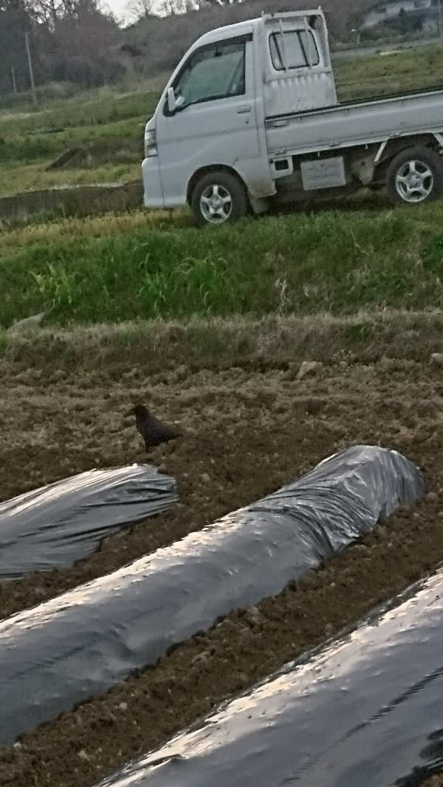 たち 鰤 仲間 35 な 残念 と 【韓流ブームの】鰤と残念な仲間たち 35【残骸】