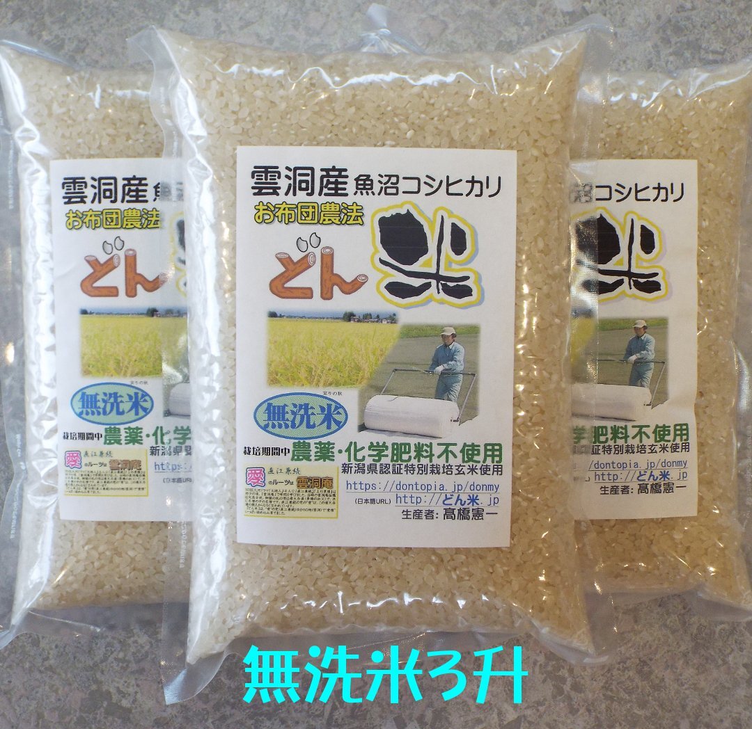 新潟県産 従来コシヒカリ 令和５年産 白米 １升 (1.5㎏) - 米・雑穀・粉類