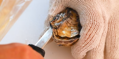はじめての生牡蠣、自分の手で殻を剥いて食べてみます！【剥き方解説あり】