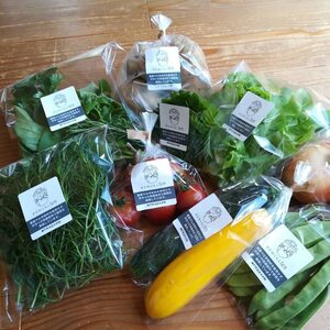 神戸よりお届け！さとのくらしfarmおまかせ野菜セット【ビッグ】