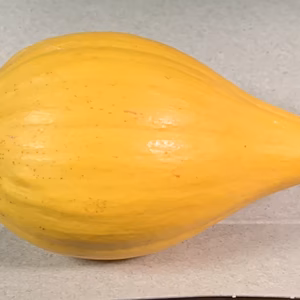 レアフルーツ　カニステル〔無農薬〕