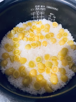 みんなの投稿の画像