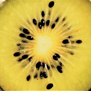 体が喜ぶ！自然農法　東京ゴールドbaby（農薬・肥料不使用）