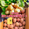 【期間限定】種子島産 新じゃが＆熟成安納芋 セット