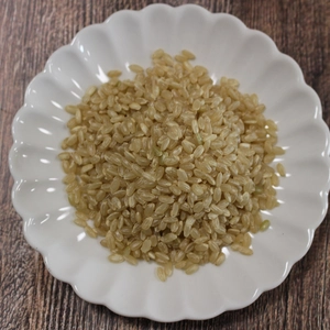 〇令和5年産特別栽培米「にこまる」〇玄米2kg~
