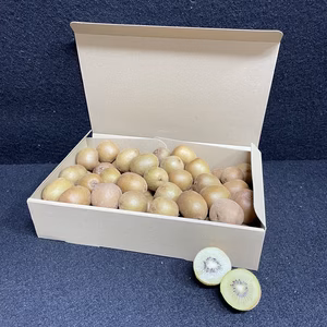 『訳あり』しいたけ屋さんが作ったキウイフルーツ