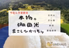 本物。棚田米　昔こしひかり5ｋｇ　令和４年度長岡一之貝産新米　