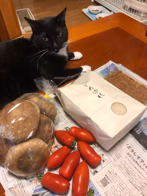 みんなの投稿の画像